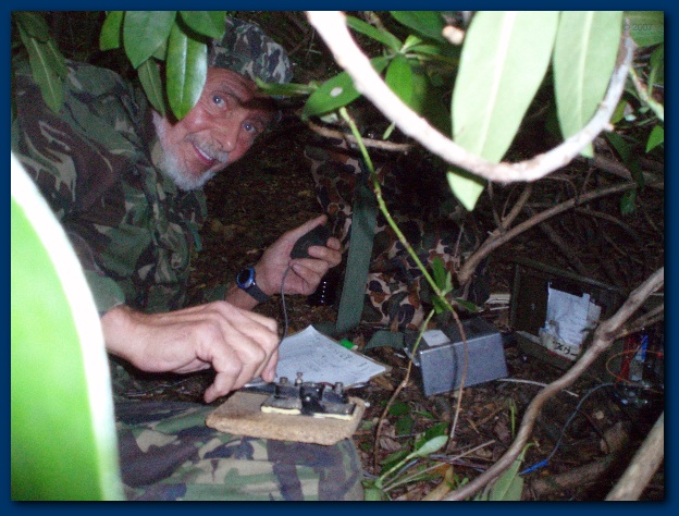 600x449 pixels (145K)